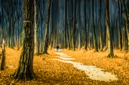 Walk in the woodsの写真素材