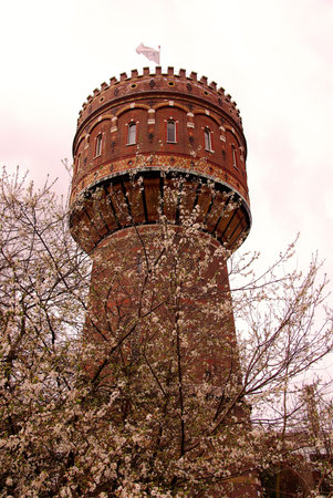A water tower with a flowering prunus in front