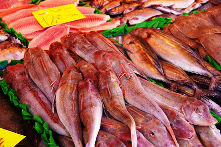 Fresh fish at the market