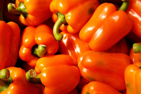 Red paprikaの写真素材