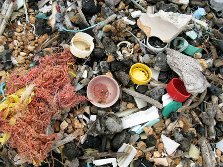Litter at thebeach