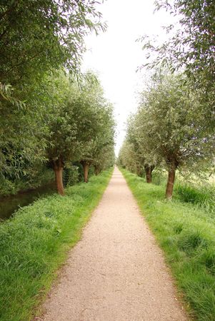 A bicycle with willows in perspectiveの写真素材
