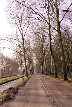 A road in winter in perspectiveの写真素材
