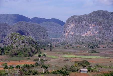 A tropical landscape at a Caribbean islandの写真素材