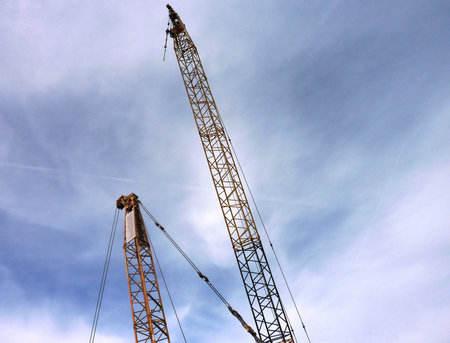 Cranes opposite a blue sky with cirrostratus clouds
