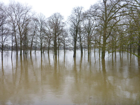 High water in the river IJssel in Deventerの写真素材