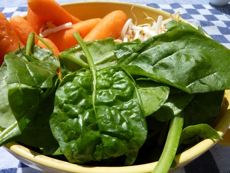 Carrots spinach and mung bean sprouts in a bowlの写真素材