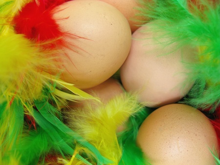 Easter eggs in a basket with colorful feathersの写真素材