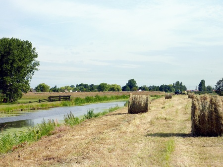 Hay bales on a field along a canalの写真素材