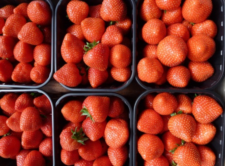Strawberries in boxes at the greengrocer on the marketの写真素材