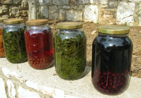 Preserved food in bottles at a rowの写真素材