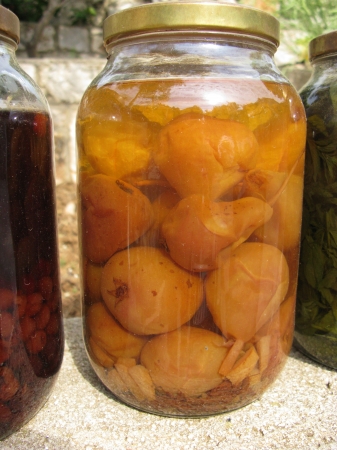 Preserved food in a bottleの写真素材