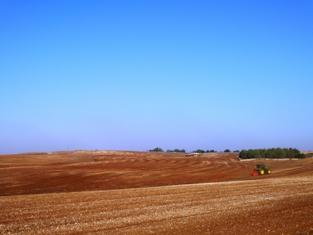 The landscape at the countryside of Apulia in Italyの写真素材