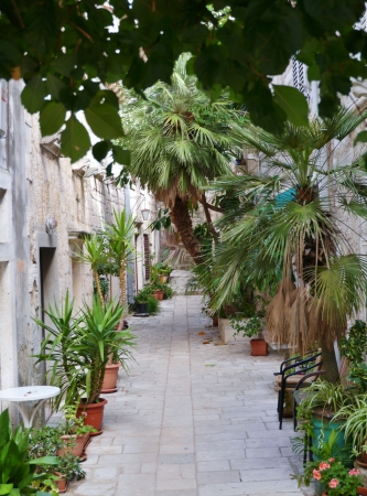 A street garden with plants and flowers in containers and pots in the cityの写真素材