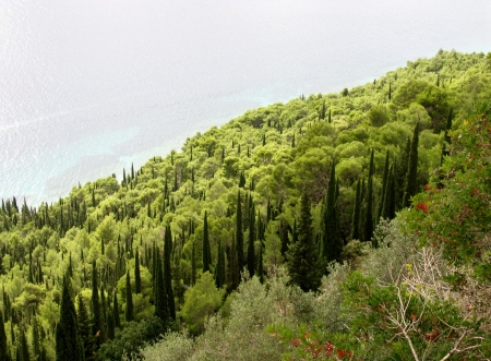 The green hills of Peljesac in Croatia withe the mediterranean evergreen vegetationの写真素材