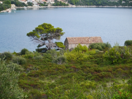 A barn at the waterfront of the hidden bay of the island Lastovo in Croatiaの写真素材