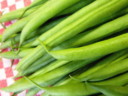 Fresh french beans on a kitchen towel