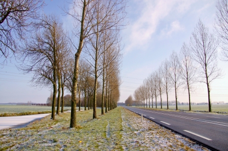 A winter landscape with a road and trees in perspectiveの写真素材