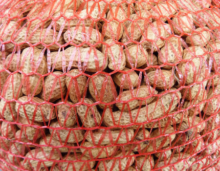 Peanuts in a net