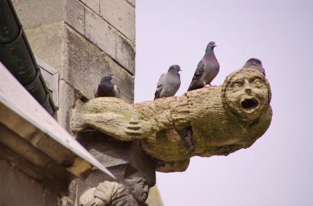 A gargoyle on the roof of the cathedral of Saint Peter and Paul in Troyens in champagne in Franceの写真素材