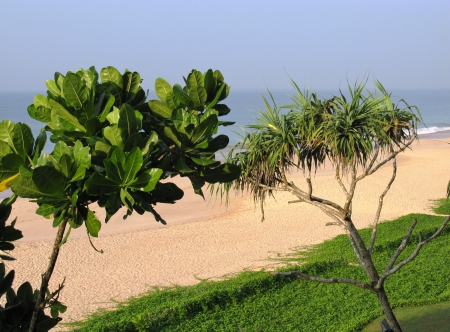 The beach of Koggala in Sri Lanka in the Indian ocean and green plantsの写真素材