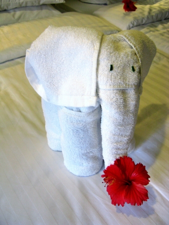 An elephant of cotton towels with a red hibiscus flower as a decoration on a bedの写真素材