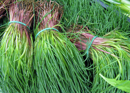 Bundles of parsley at the greengrocer on the market placeの写真素材