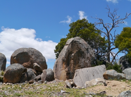 Dead tree and boulders near Cooma in Australiaの写真素材