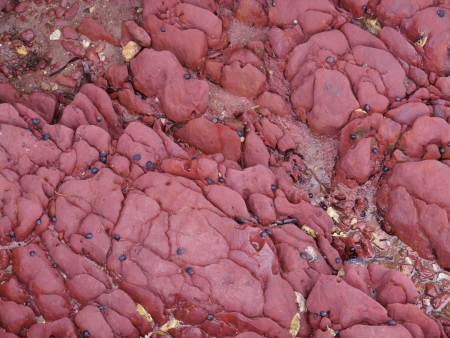 Red rocks on the coast of Kangaroo island in Australiaの写真素材