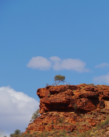 View of the sandstone rocks at Kings Canyon in the Watarrka National Park in Northern Territory in  Australiaの写真素材