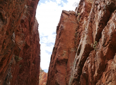 Stanley chasm in the West McDonnell ranges in the Northern Territory in Australiaの写真素材