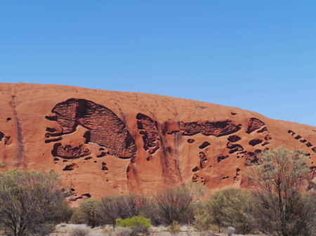 A detail of Ayers rock a sandstone formation in the Northern territory in Australiaのeditorial素材