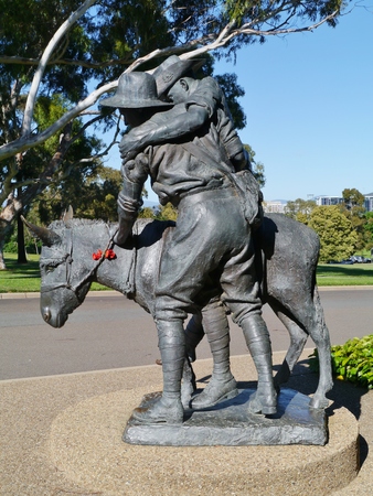 A statue of Simpson and his donkey field ambulance in Canberra in Australiaのeditorial素材