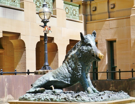 Il Porcellino is the local Florentine nickname for the bronze fountain of a boar in Sydney in Australiaの写真素材