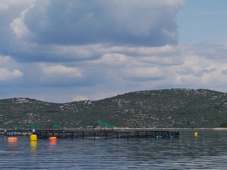 A fish farm in the Adriatic sea of Croatiaの写真素材