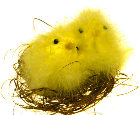 A yellow chicken with a young one in a nest as a Easter table decoration over white