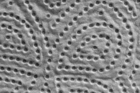 Kitchen paper, macro imageの写真素材