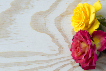 White and red roses on white layered backgroundの写真素材