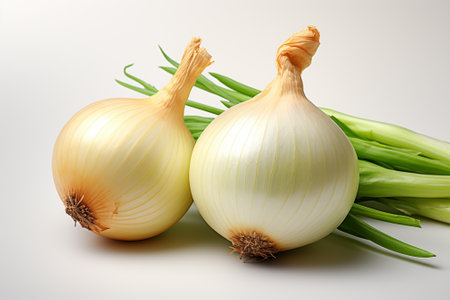 Onion and green onions on a white background, close-upの素材