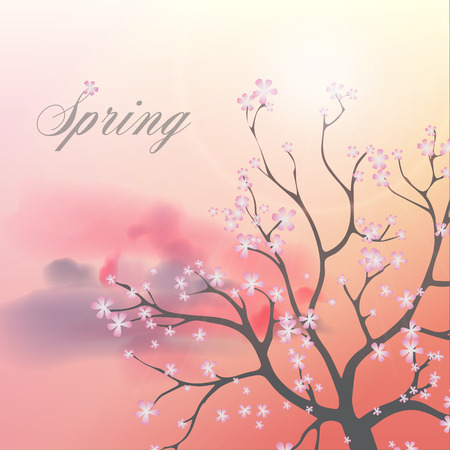 Card with Beautiful Flowering Japanese Cherry Blossom Tree のイラスト素材