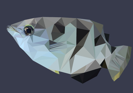 Abstract Low Poly Fish, Archer fish - Vector Illustrationのイラスト素材
