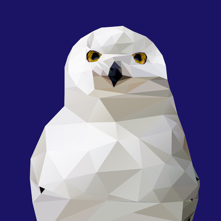 Abstract Low Poly Snowy Owl, (Bubo scandiacus) - Vector Illustrationのイラスト素材