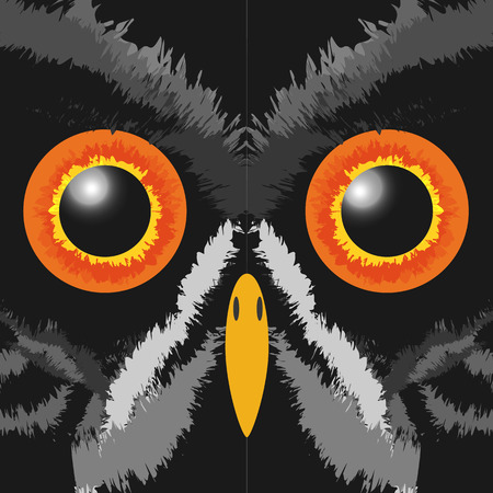 Owl Portrait - Vector Illustrationのイラスト素材