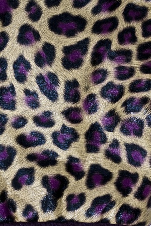 Texture of Leopardskin Pattern fabric background の写真素材