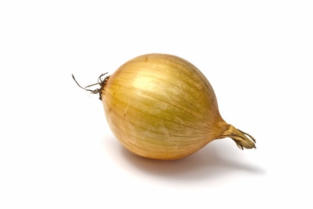 Onion isolated on white backgroundの写真素材