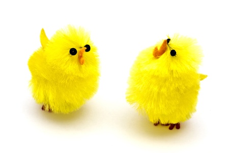Two small yellow easter chickens closeup on white backgroundの写真素材