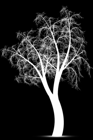 Abstract winter tree isolated on black backgroundのイラスト素材
