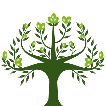 Abstract olive tree isolated on white backgroundのイラスト素材