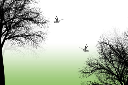 Abstract trees and birds backgroundのイラスト素材