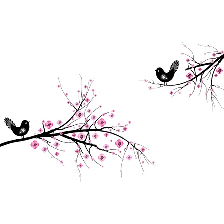 Beautiful blossom cherry and birds isolated on white background
のイラスト素材
